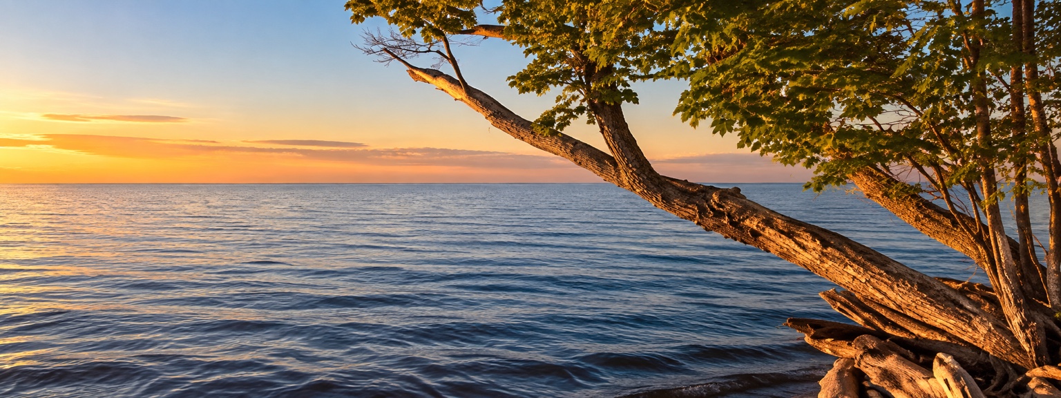 Sunset over a broad lake framed by a lakeside tree
